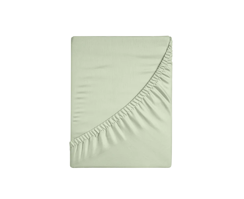 Classic 300 TC Organic Cotton Fitted Sheet - Raia