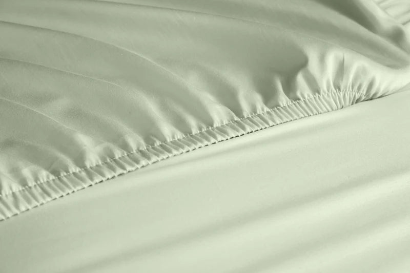 Classic 300 TC Organic Cotton Fitted Sheet - Raia