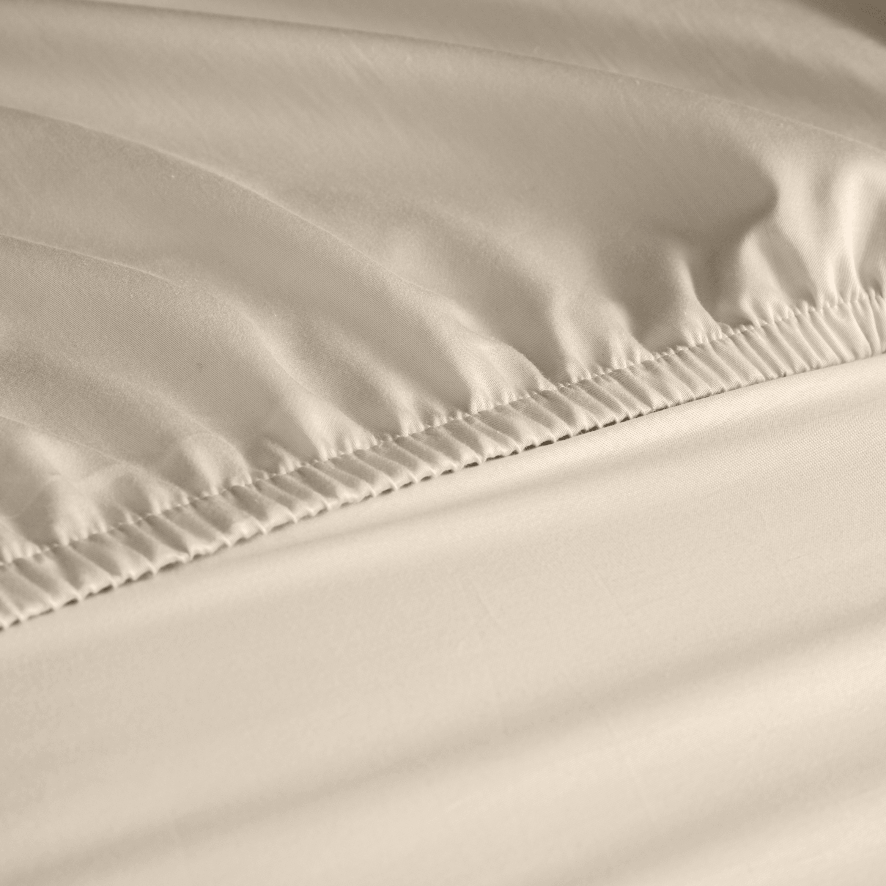 Classic 300 TC Organic Cotton Fitted Sheet - Raia