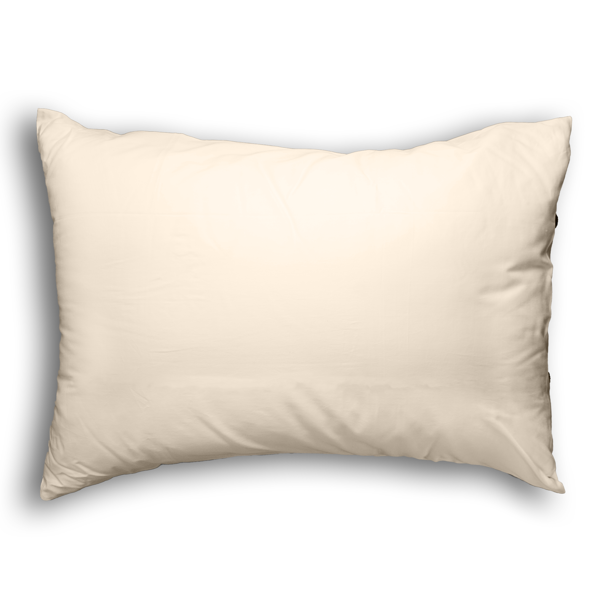 Classic 300 TC Organic Cotton Pillowcase Set